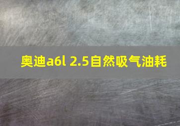 奥迪a6l 2.5自然吸气油耗